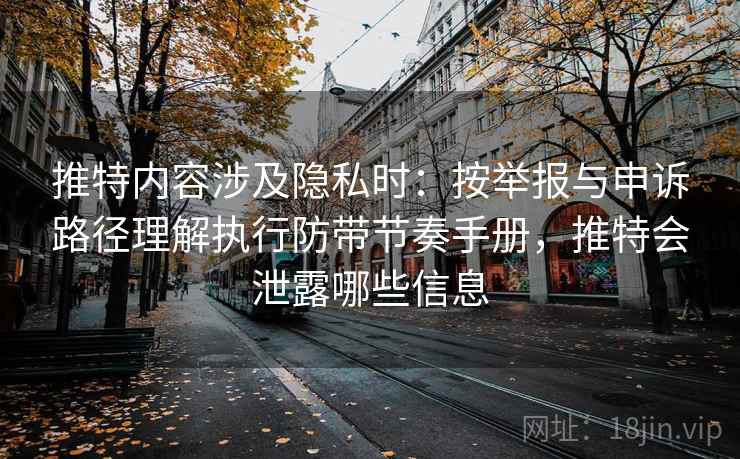 推特内容涉及隐私时：按举报与申诉路径理解执行防带节奏手册，推特会泄露哪些信息
