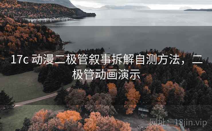 17c 动漫二极管叙事拆解自测方法，二极管动画演示